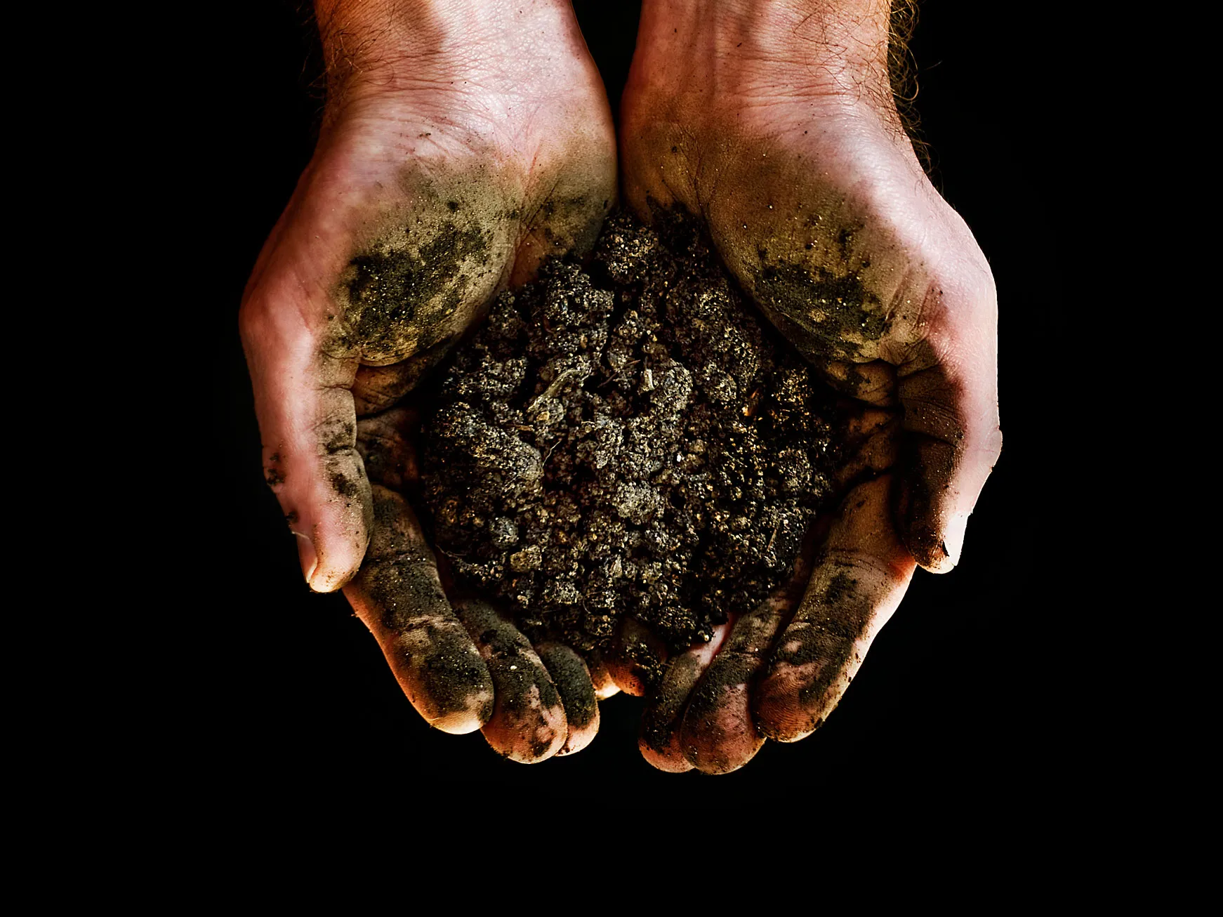 The Science Behind Human Composting: How Does It Work and Is It Safe?​